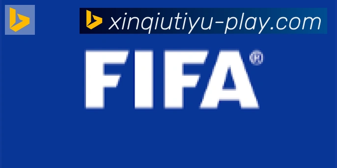 新球体育合作伙伴