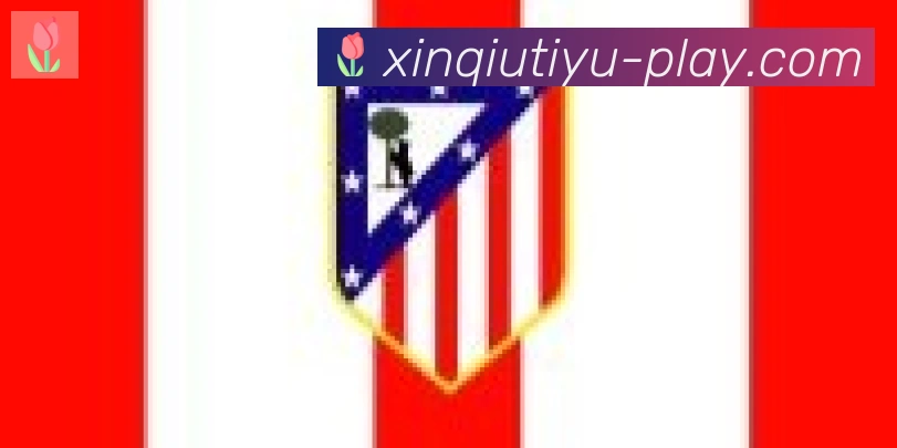 新球体育合作伙伴